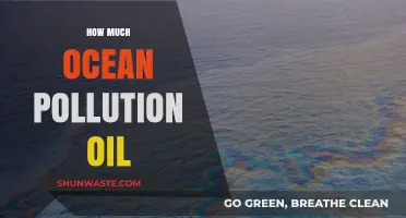 Ocean Oil Pollution: A Growing Environmental Disaster