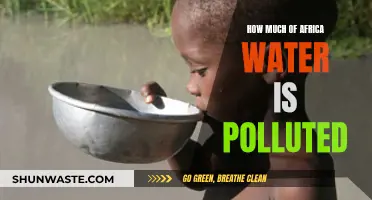 Unveiling Africa's Water Crisis: A Deep Dive into Pollution