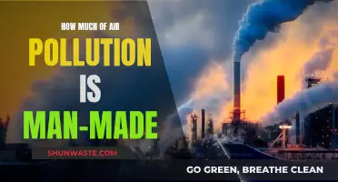 Human Impact: Air Pollution's Major Culprit