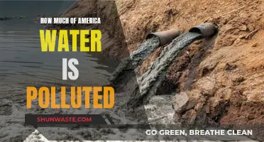 Unveiling America's Water Crisis: The Alarming Pollution Reality