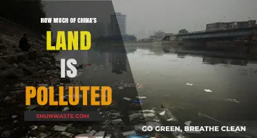 China's Polluted Lands: A Critical Analysis