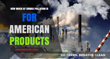 American Consumption, Chinese Pollution: Who's Responsible?