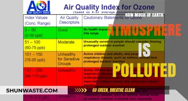 Atmospheric Pollution: How Much of Our Air Is Toxic?