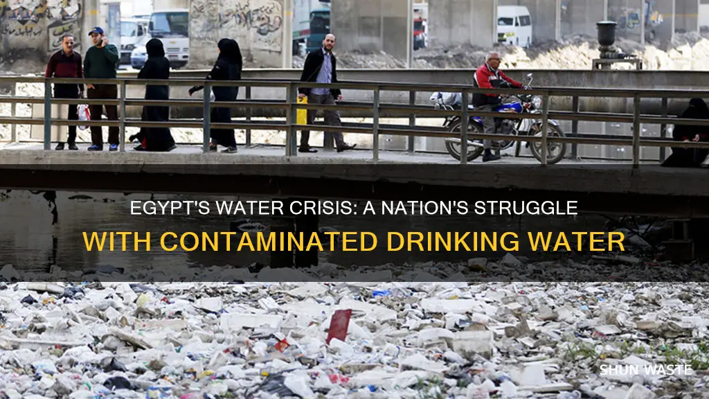 how much of egypts population drinks pollute water