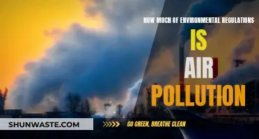 Air Pollution: Environmental Regulations and Their Impact