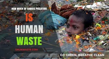 Human Waste: Ganges' Pollution Culprit?