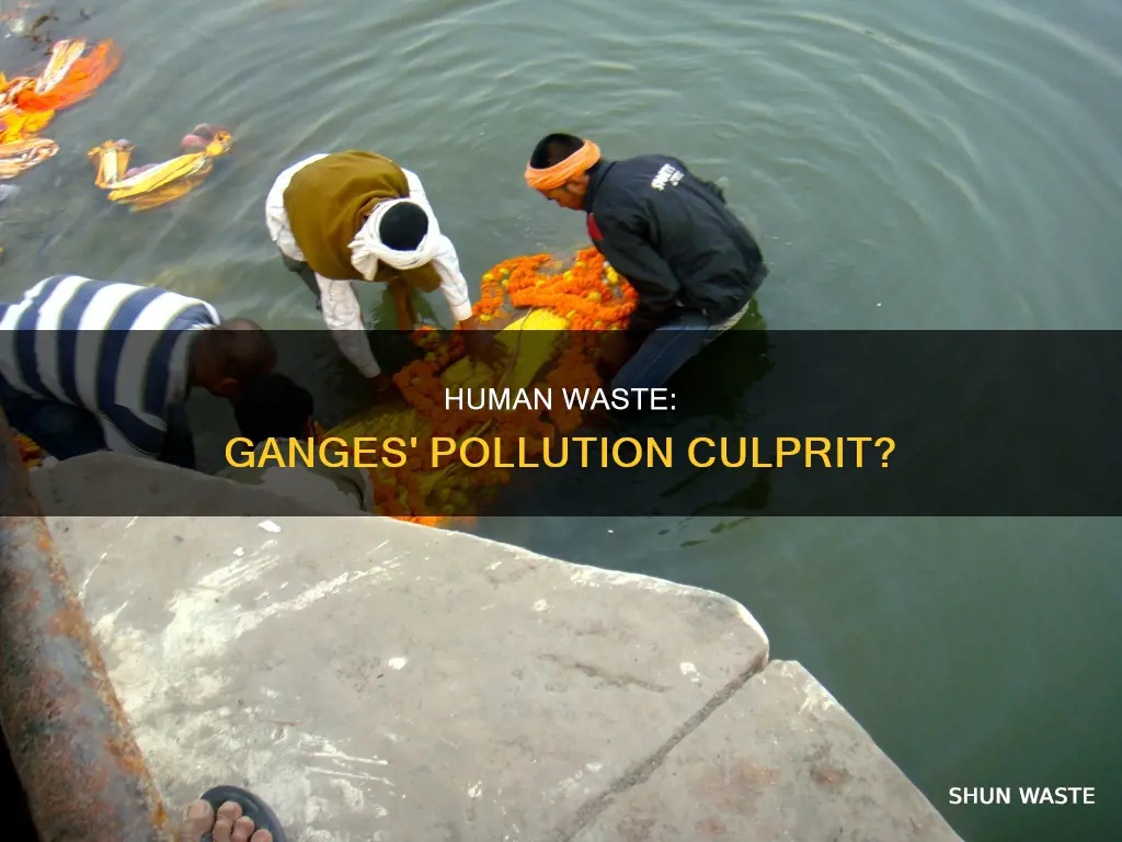 how much of ganges pollution is human waste