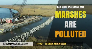 Georgia's Salt Marshes: A Polluted Paradise?