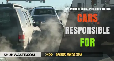 Gas Cars: Global Pollution Culprits?