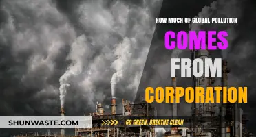 Pollution's Corporate Culprits: Who's Responsible for Global Contamination?