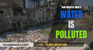 India's Water Crisis: Unveiling the Hidden Pollution