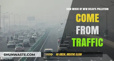 Delhi's Traffic Pollution: What's the Real Cost?