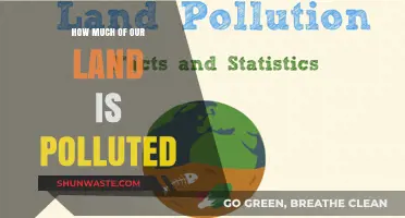 Land Pollution: Our World's Troubling State