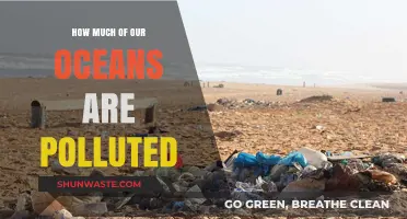 The Ocean's Pollution Crisis: How Much is Too Much?