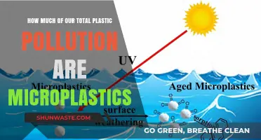 Microplastics: A Huge Part of Plastic Pollution