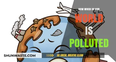 Our Polluted World: Understanding the Global Crisis
