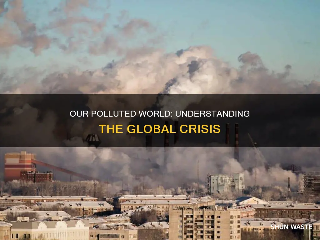 how much of our world is polluted