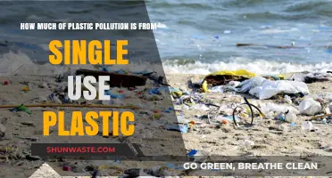The Plastic Problem: Single-Use Pollution Crisis