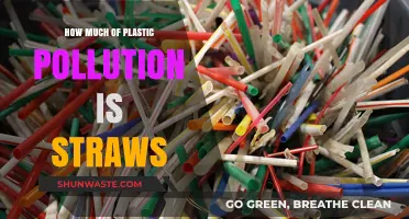 Plastic Straws: A Major Ocean Polluter