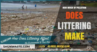 Littering's Impact: Understanding Pollution's Dark Side