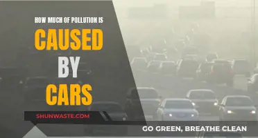 The Impact: Cars and Their Environmental Footprint