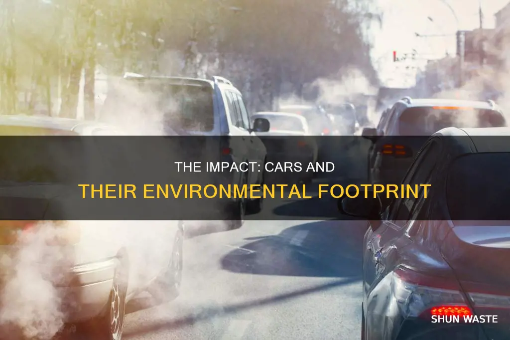 how much of pollution is caused by cars