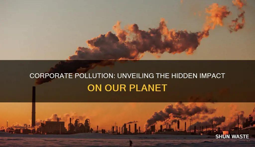 how much of pollution is caused by corporations