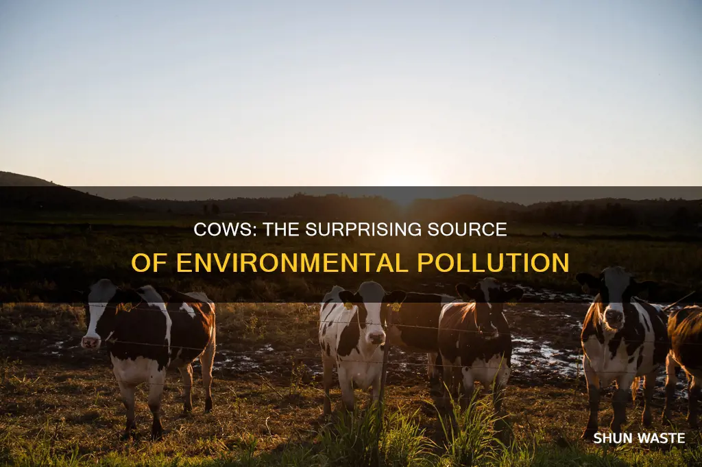 how much of pollution is caused by cows