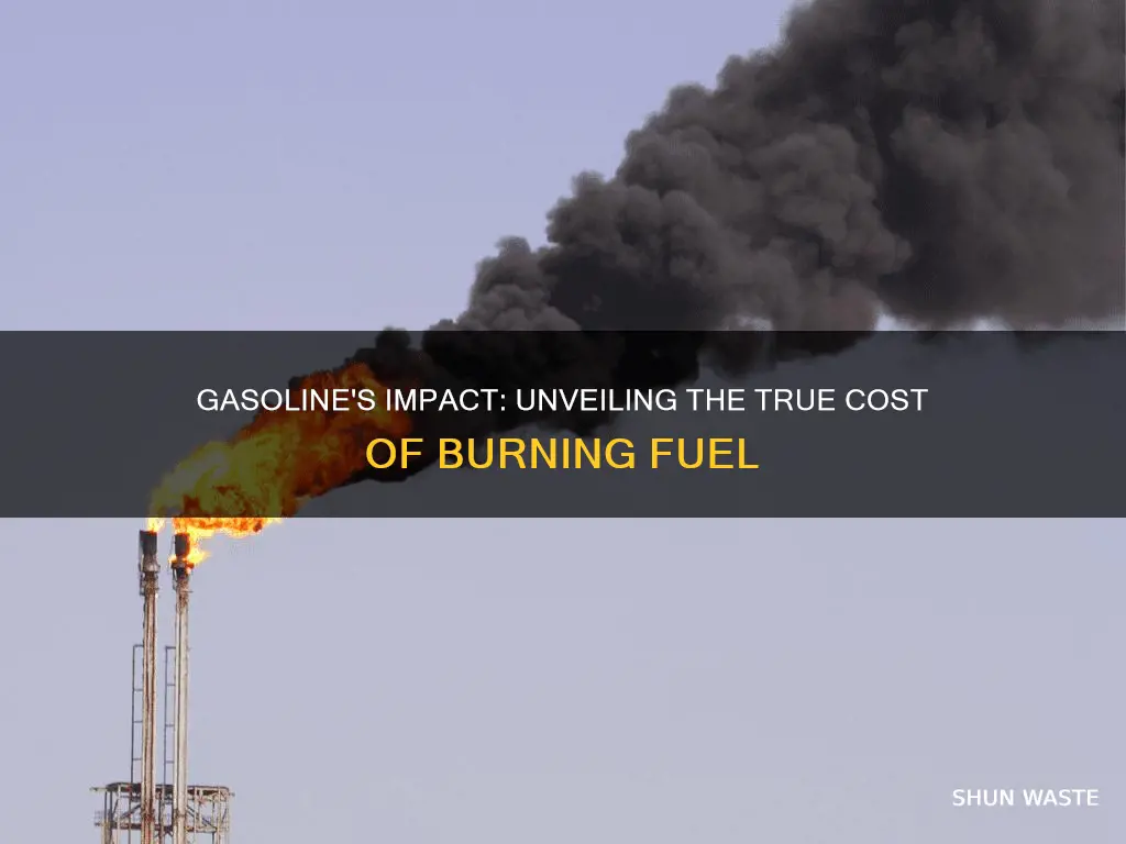 how much of pollution is caused from burning gasoline