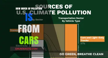 Cars' Pollution Footprint: How Big Is It?