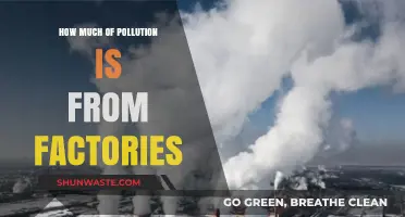 The Impact of Factory Pollution on Our Planet