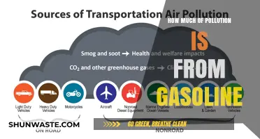 Gasoline's Pollution Impact: Understanding the Environmental Cost