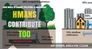 Human Impact: Runoff Pollution and Our Contribution
