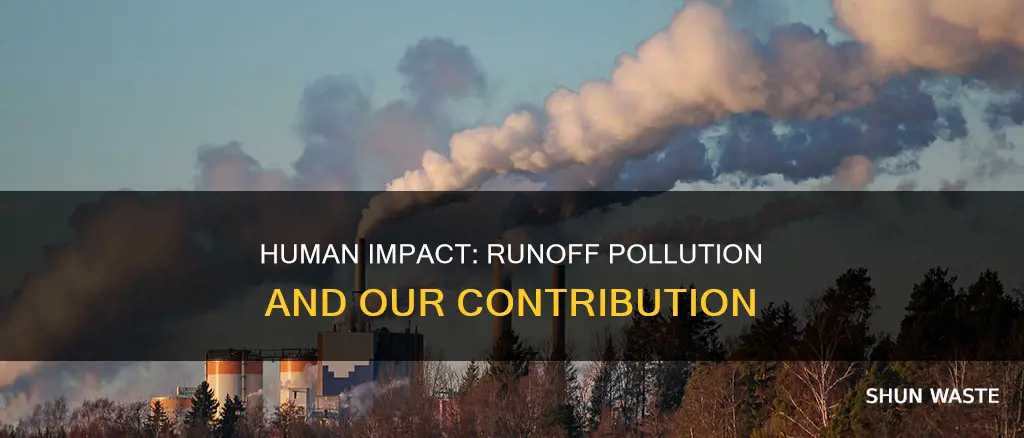 how much of runnof pollution to indevidual hmans contribute too