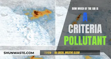 Air Quality Alert: Criteria Pollutants Explained