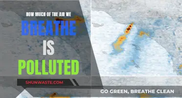 Air Quality Alert: Breathing Polluted Air?