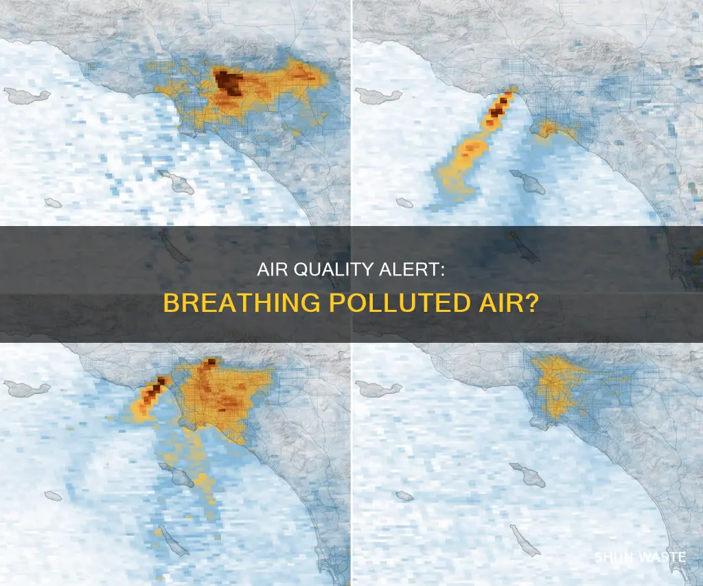 how much of the air we breathe is polluted