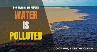 Amazon's Water Crisis: Unveiling the Hidden Pollution