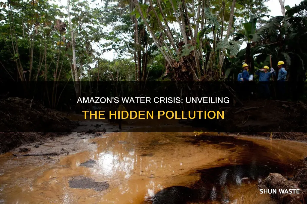 how much of the amazon water is polluted