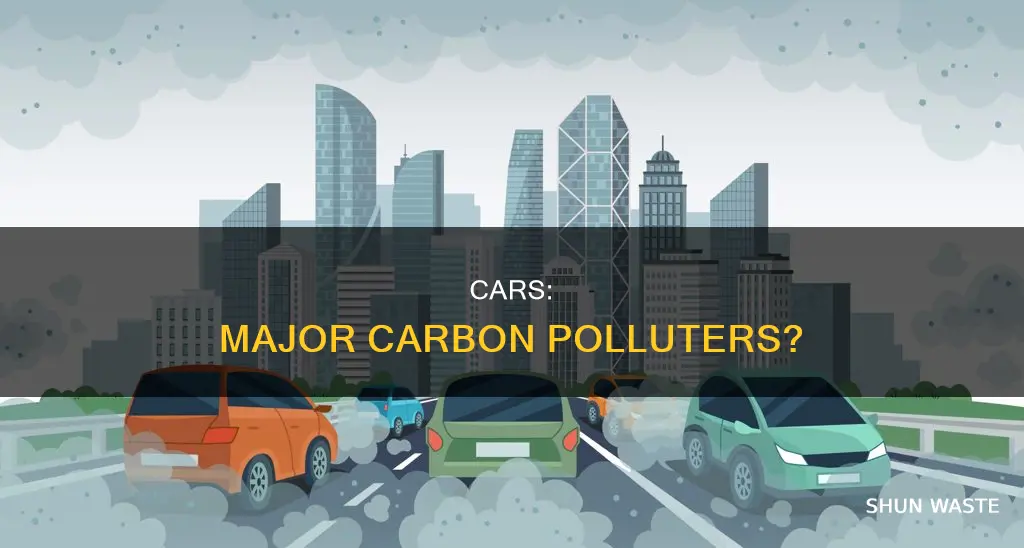 how much of the carbon pollution comes from cars