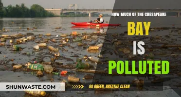 The Chesapeake Bay's Troubled Waters: Pollution's Impact