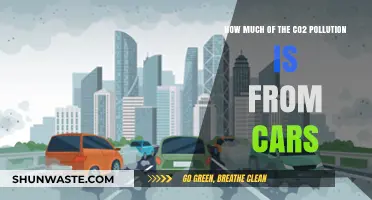 Cars' Carbon Footprint: How Big Is It?