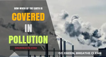 Pollution's Global Reach: How Far Has It Spread?
