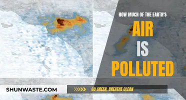Air Pollution: Global Crisis and Urgent Action Needed