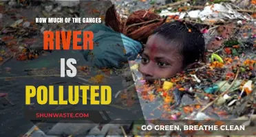 Ganges River Pollution: A Critical Analysis