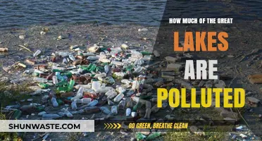 Great Lakes Pollution: What's the Damage?