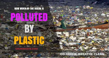 Plastic Pollution: Our Oceans' Plight and Fight