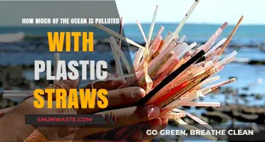 Plastic Straws: Ocean's Silent Polluters