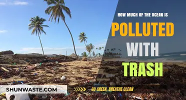 The Ocean's Trash Crisis: Understanding the Devastating Impact