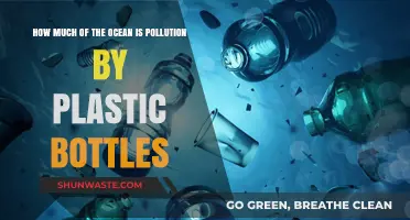 Plastic Bottle Pollution: Ocean's Silent Killers